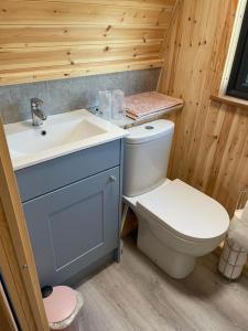 米尔盖Glamping Pods的木制客房内设有带卫生间和水槽的浴室
