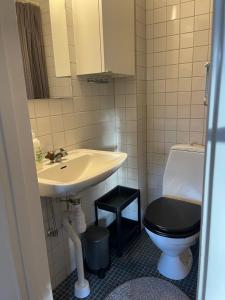 乌普萨拉Small house Uppsala的一间带水槽和卫生间的浴室