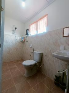 山打根De'Manda Homestay的一间带卫生间和水槽的浴室