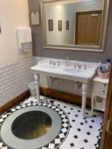 Norham梅森阿尔姆斯住宿加早餐旅馆的一间带水槽、卫生间和镜子的浴室