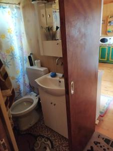 波多河丽σπίτι - αγρόκτημα的一间带卫生间和水槽的浴室