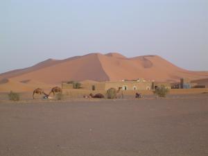 梅尔祖卡Chez Meriem的沙漠中的村庄,有大沙丘