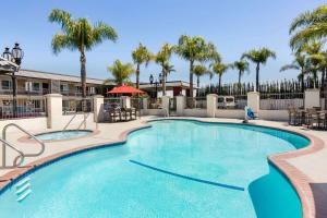 安纳海姆阿娜赫姆公园戴斯酒店 的一座棕榈树环绕的大型游泳池