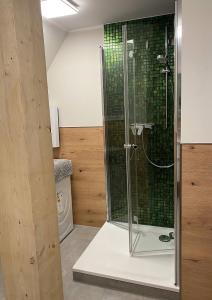 朗克维茨Ferienhaus Mü的浴室设有绿色玻璃瓷砖和淋浴。