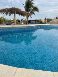 索里托斯9 Lunas的一座大型蓝色游泳池,种有棕榈树