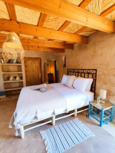 阿伊特本哈杜Maison d'hôtes Tigminou - Adults Only的一间卧室设有一张床和木制天花板