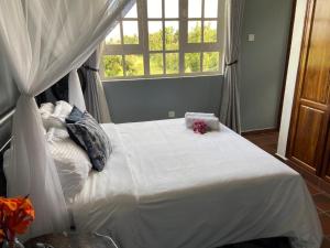 阿鲁沙Daria Apartment -Burka -3 minutes from Arusha Airport的卧室配有一张大白色床和窗户