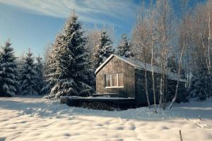 Hand made Off Grid forest Cabin Luna的雪中小木屋,有树木