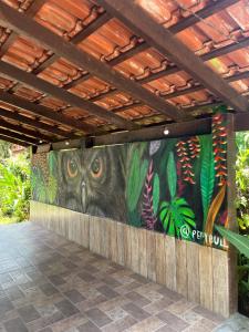 坎布里Aldeia de Camburi的墙上的猫头鹰壁画
