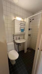 赫尔辛基Kallion helmi的一间带卫生间和水槽的浴室