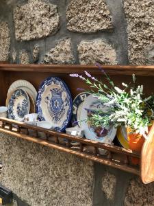 科维良阿布里格达埃斯特雷拉住宿加早餐旅馆的上面有蓝白板和植物的架子