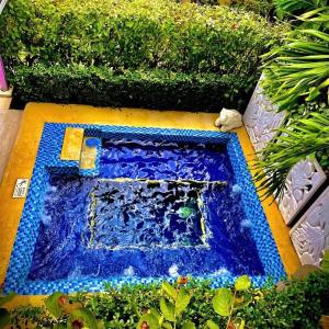 圣安德烈斯Summer House Inn San Andres的花园内一个铺有蓝色瓷砖的游泳池