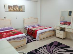 阿斯旺City Center Guest house and Hostel的一间卧室配有两张床和镜子