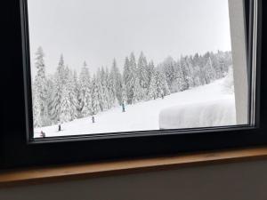 亚霍里纳Cozy Ski Apartment Jahorina的窗户享有雪覆盖的森林美景