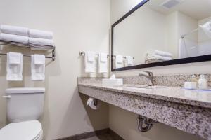 苏华德鹅卵石酒店及套房 - 西沃德的一间带卫生间、水槽和镜子的浴室