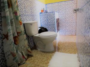 莫约加尔帕Hostal Siero的一间带卫生间和淋浴帘的浴室