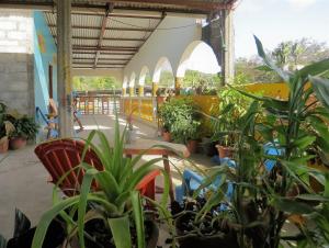 莫约加尔帕Hostal Siero的充满了许多盆栽植物的房间