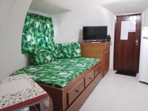 布希奥斯Cabana lofft 70 em Tucuns Búzios的客厅配有绿色沙发和电视