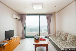 尤九南韩河伊尔松公寓的带沙发和电视的客厅