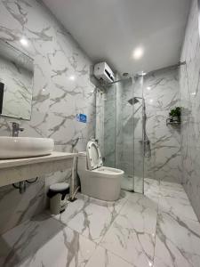 海防DT Hotel Hai Phong的浴室配有卫生间、盥洗盆和淋浴。