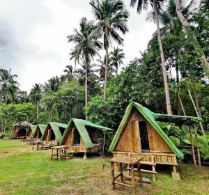 El Nido Beach Camp的棕榈树田里的一排小屋