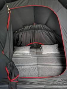 El Nido Beach Camp的黑色帐篷内的一张床位,配有两个枕头
