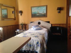 圣地亚哥拉卡斯特拉纳酒店的卧室配有一张床,墙上挂有绘画作品