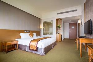 嘉义市嘉义皇品国际酒店的酒店客房设有一张大床和一台电视。