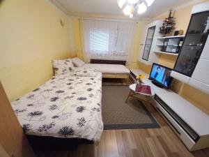 兹雷切Apartment Jorsi with Mountain View的小房间设有床铺和电视