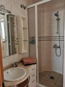 拉帕拉德La Casa Amarilla的一间带水槽和淋浴的浴室
