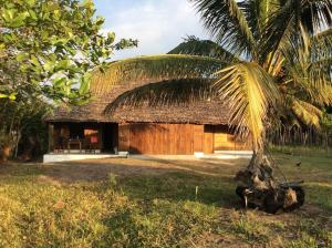 MahamboBeach front Cottage的一间有稻草屋顶和棕榈树的小小屋