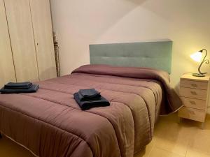 普雷甘齐奥尔Casa Ester的一间卧室配有一张带棕色毯子和灯的床