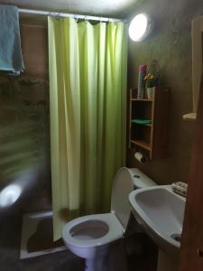 AghbalaGîte Mourik的一间带绿色淋浴帘和卫生间的浴室