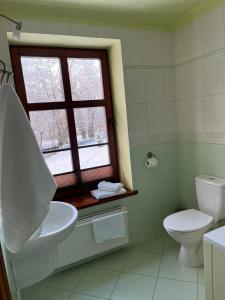 达尔沃沃格斯西尼匝姆科威宾馆的一间带卫生间、水槽和窗户的浴室