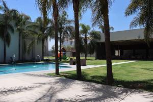 阿瓜斯卡连特斯Wyndham Garden Aguascalientes Hotel & Casino的一座楼前棕榈树游泳池