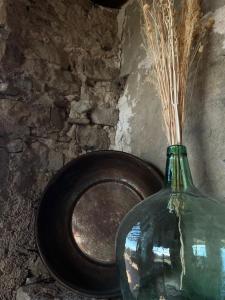 塔维亚诺勒斯Mas Sabaters - L'Era de Sabaters的绿色花瓶,上面有草,放在盘子旁边