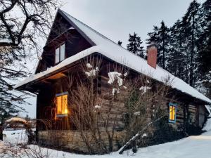 拉普斯尼恩Miodowa Chata的小木屋,屋顶上积雪