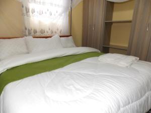 基塔莱Cloud9 Suites的一张白色大床,配有白色床单和绿色毯子