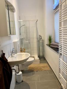 科隆科隆城市公寓 的一间带水槽、卫生间和淋浴的浴室