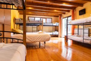 拉加玛艾佩德拉Hotel Golf Natura的客房设有四张双层床,铺有木地板。