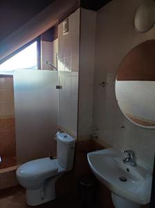 班斯科Hotel FAMIL - adults only的一间带卫生间、水槽和镜子的浴室