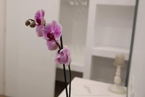 巴列塔Essence的桌子上花瓶里的一束紫色花