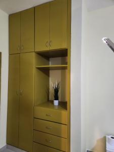 拉罗马纳Hotel La Casona MC的配有黄色橱柜和盆栽的衣柜