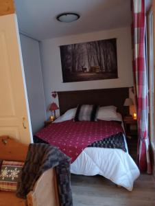 圣索林达尔沃Appart. lumineux à St-Sorlin d'Arves (Sybelles)的一间卧室配有一张带红色毯子的床
