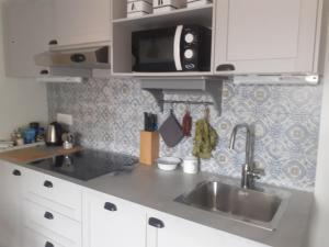 都灵Alloggio Torino InQuadro的厨房配有水槽和微波炉