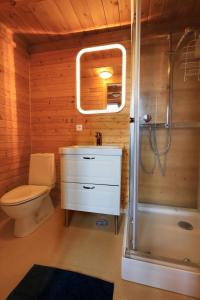 霍尔斯沃德吕尔Cozy Cottage by Stay Iceland的浴室配有卫生间、盥洗盆和淋浴。