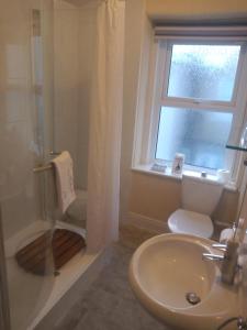 兰迪德诺Wedgwood Guest House的一间带水槽和卫生间的浴室以及窗户。