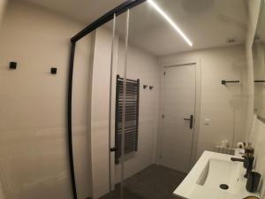索尔德乌Soldeu Paradis Solneu的一间带玻璃淋浴和水槽的浴室