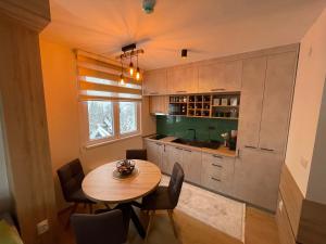 亚霍里纳Vila Jahor Superior Apartman 16 “Minja”的厨房配有桌椅和水槽。
