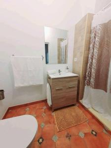 圣巴托洛梅Vista Tunte, Camino de Santiago的一间带水槽和镜子的浴室